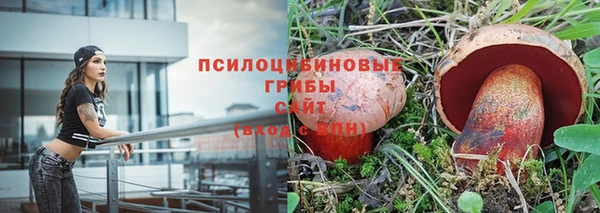 стаф Абаза