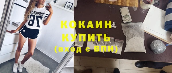стаф Абаза