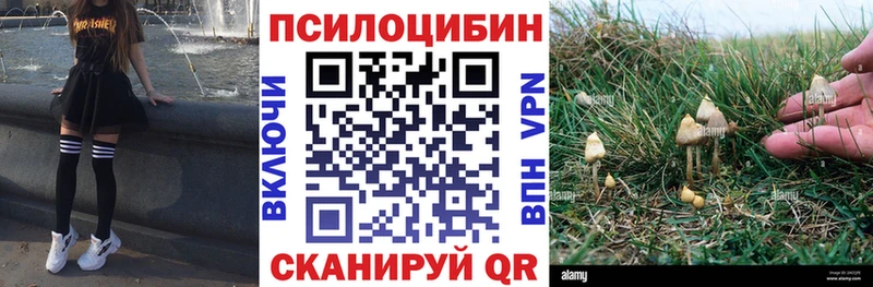 где купить наркоту  Тула  Псилоцибиновые грибы прущие грибы 