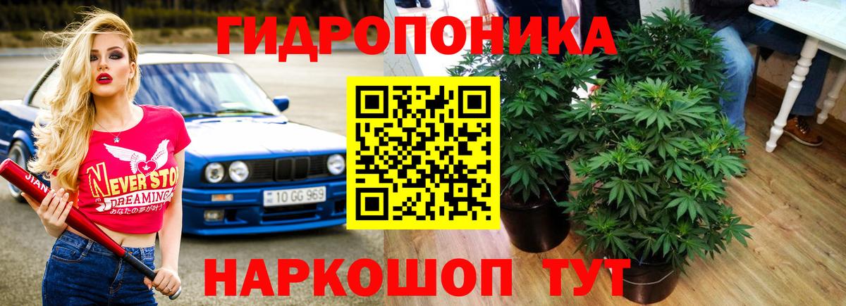 Каннабис White Widow  Бошки марихуана ГИДРОПОН  Тула  Шишки марихуана VHQ  Вход с VPN 
